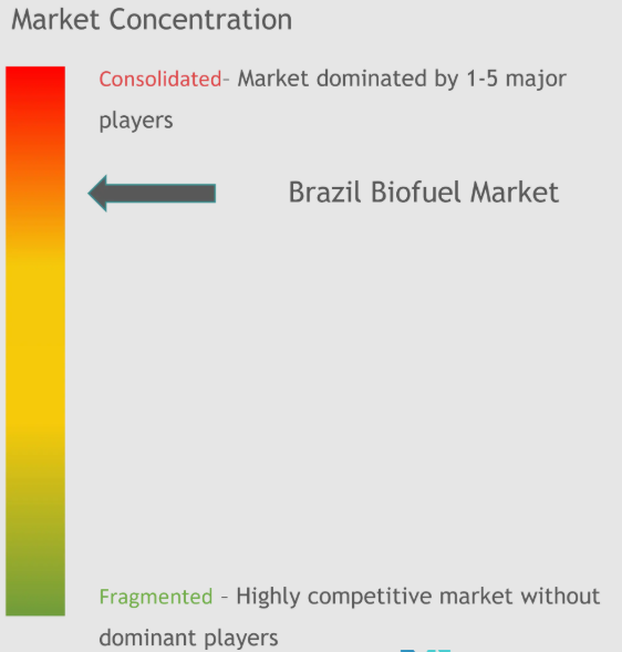 Brazil Biofuel Market Concentration